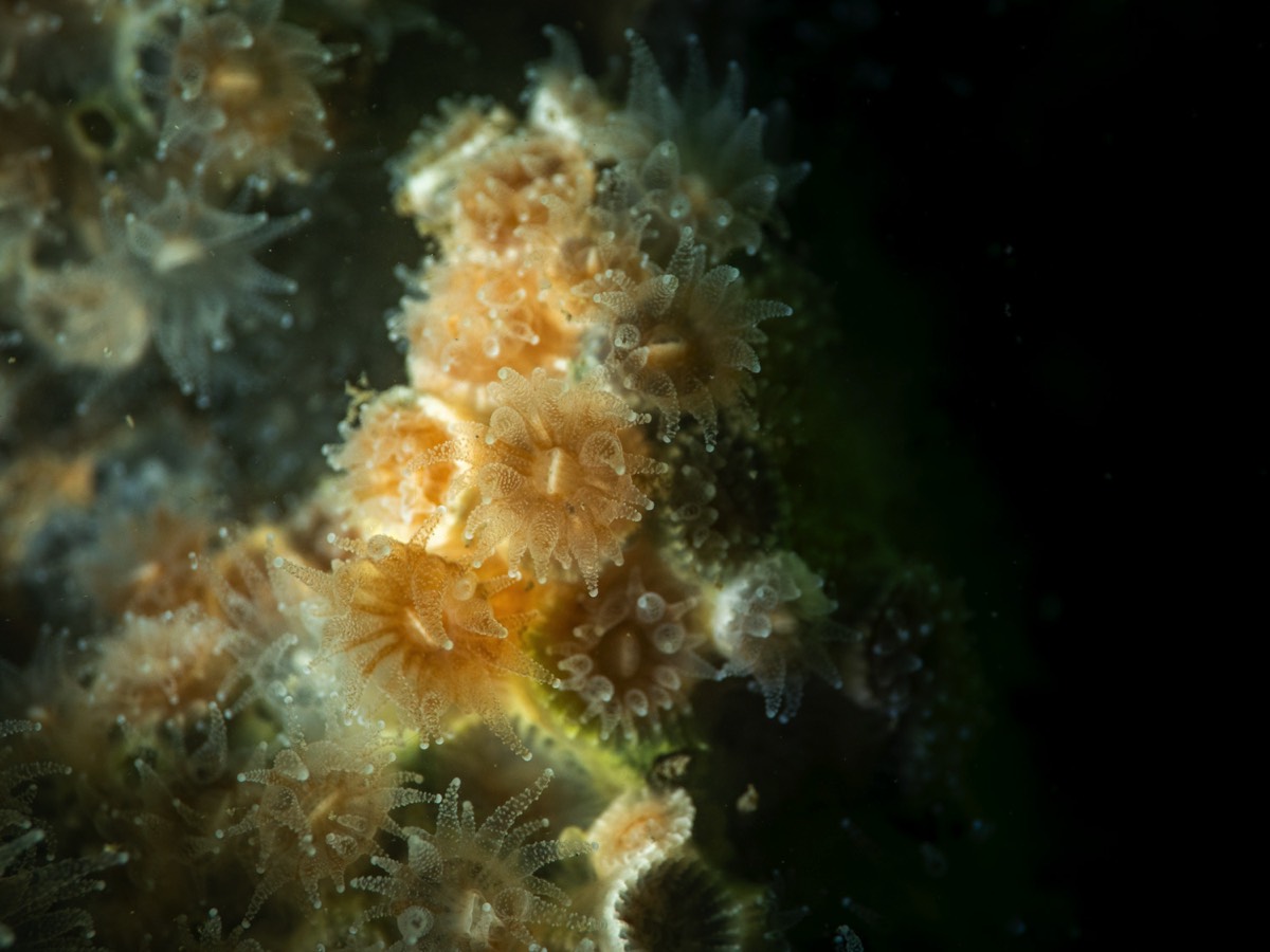 Stacks Image 195