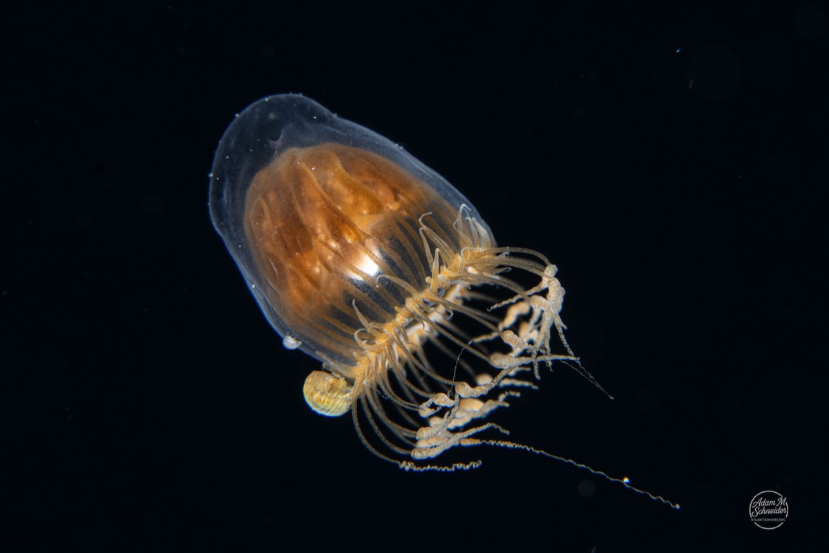 Stacks Image 189